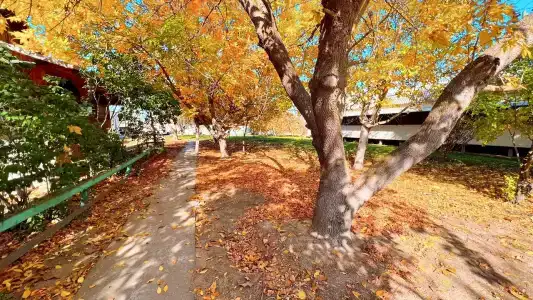 Квартет 3077 - 33
