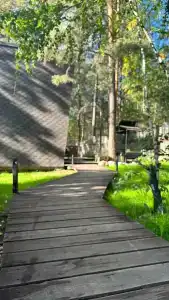 Magic Wood - 24