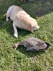 На Вазузу - 35