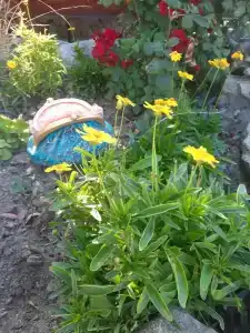 Пансионат Сказка - 59