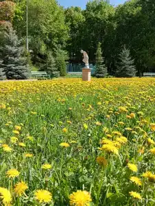 Хвалынский - 53