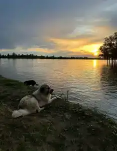 Рыбацкий приют - 2