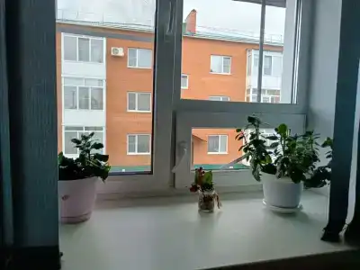 Турист - 6