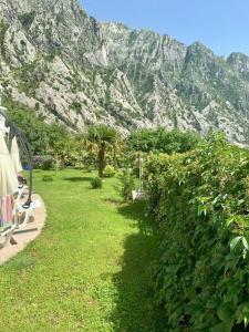Green Village Kotor - 19