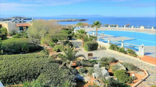 Zorbas Beach Village - 79