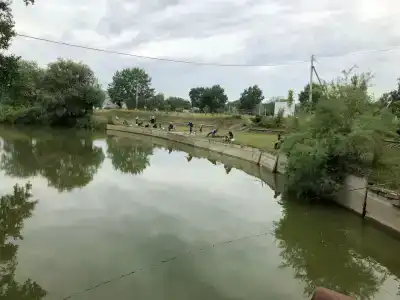 Соловьиный Остров - 2