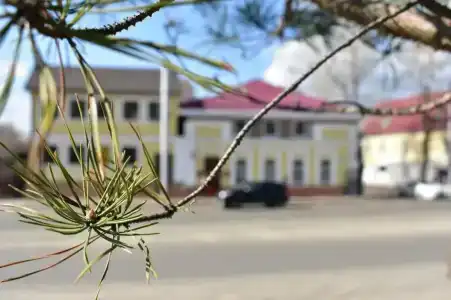 Решетников - 30