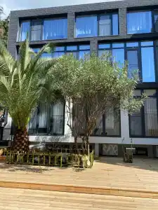 Булгаков - 22