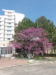 Золотой Берег - 20