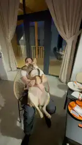 Добро и Лес - 71