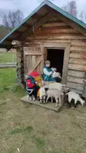 Костин двор - 64