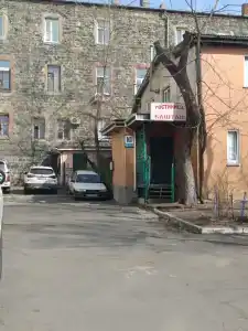 Каштан - 17