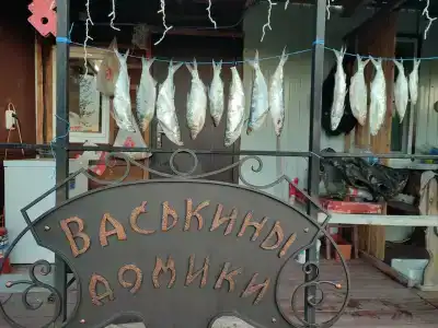 Васькины Домики - 2