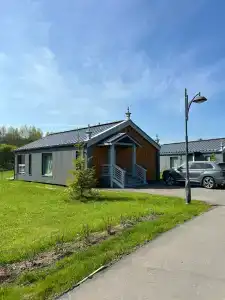 Новое Волосово - 83