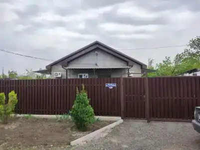 Чайка - 13