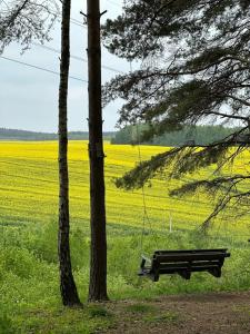 Изначальное - 30