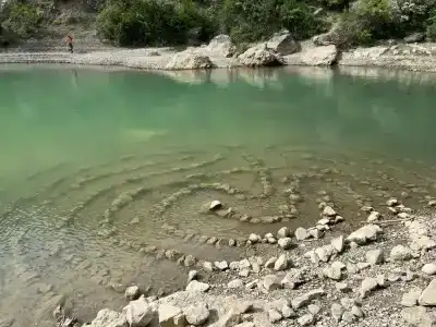 Зеленогорье - 45