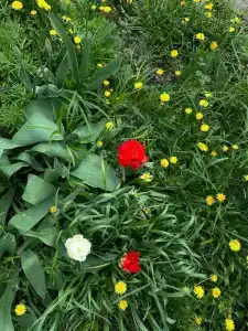 Семейный - 8