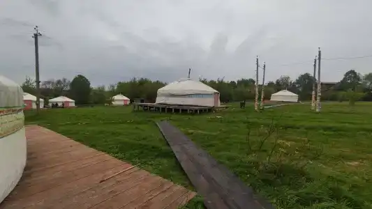 Аргамач - 32