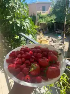 Лунный Бриз - 33