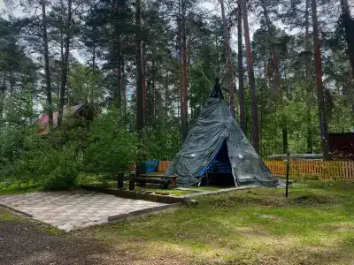 Дача в соснах - 6