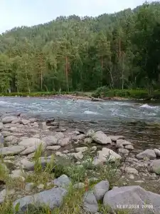 Закуток - 29