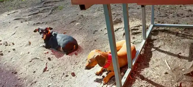 Коттедж БЕРЁЗКА на озере Большой Кисегач - 49