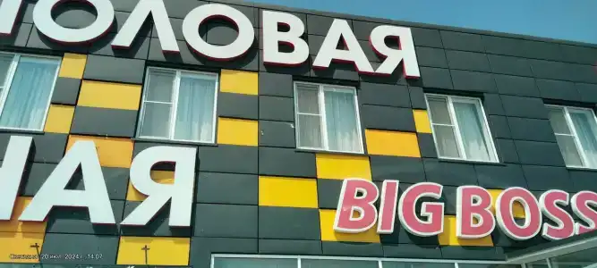 Big Boss - 79