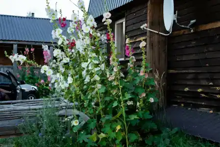 Рыбацкий хутор - 4