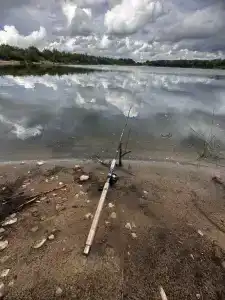 ГринЛандия - 54