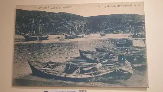 Cedar Grass Териберка - 39