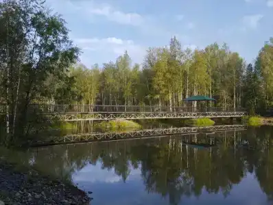 Фантазия - 30