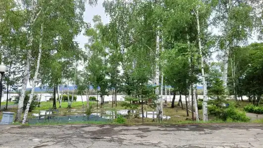 Шарголь - 19