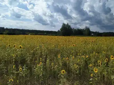 Белое озеро - 2