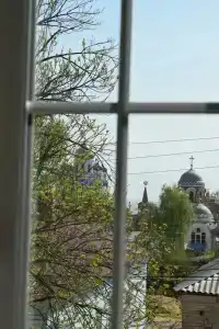 Снегири - 13