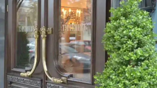 Тургеневъ - 15