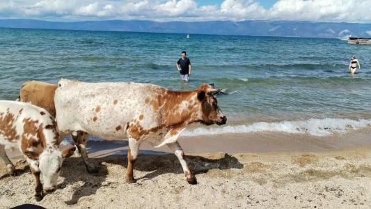 Порт Ольхон - 36