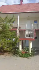 Розовый Фламинго - 12