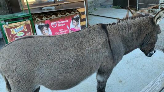 Derbent & Spa Premium - 93