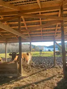 Карельские Лага - 53