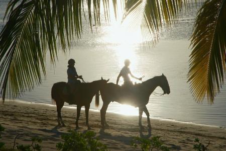Lux* Le Morne Resort - 17