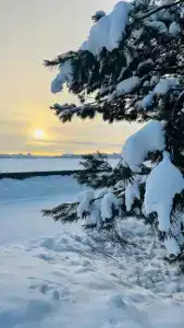 Рублевка - 2