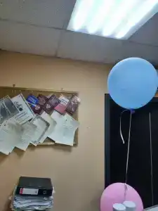 Хона - 8