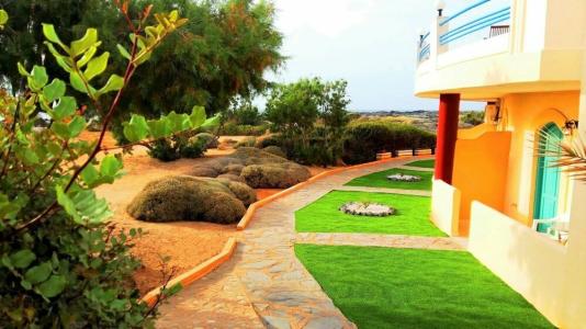 Zorbas Beach Village - 83