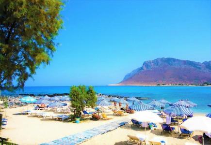 Zorbas Beach Village - 84