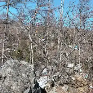 Горячий ключ - 82