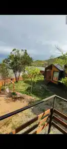 Амбассадор - 99