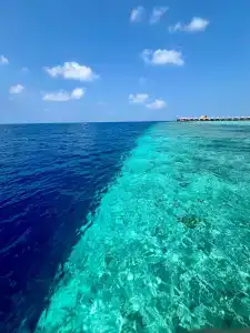 Cinnamon Velifushi Maldives - 10