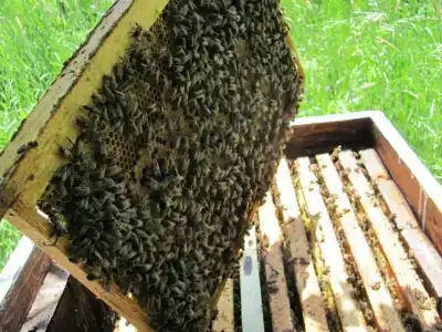 База отдыха 4 стихии - 11