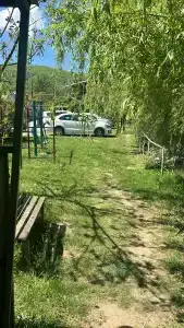 Золотая рыбка - 33